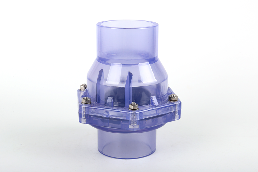 泊头透明翻板式止回阀